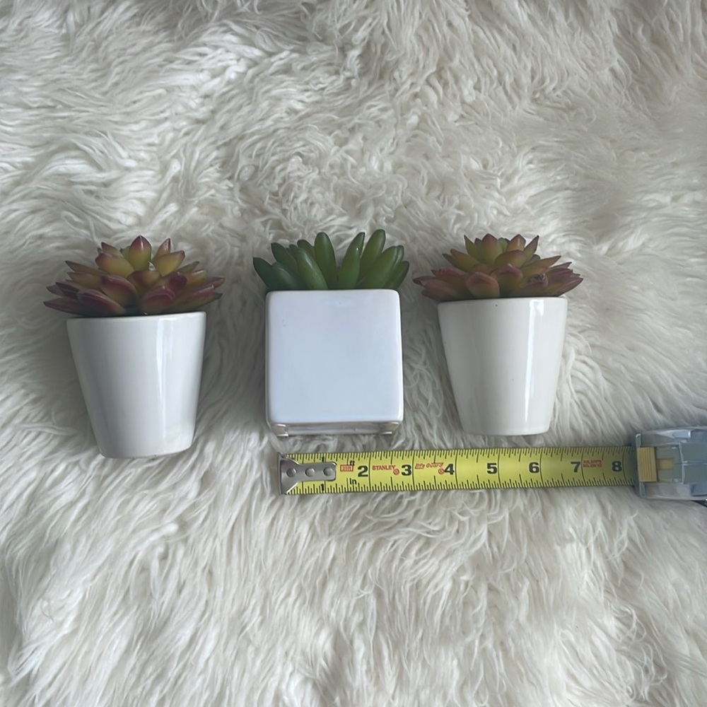 Small Fake Plants - Picture 8 of 8